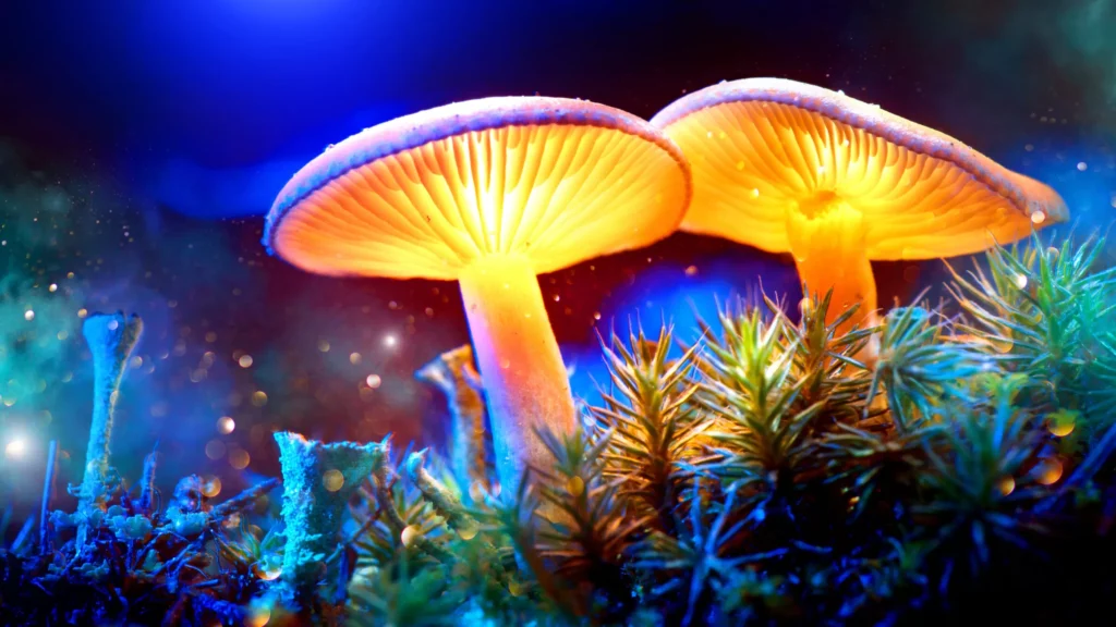 Glowing Magic Mushrooms