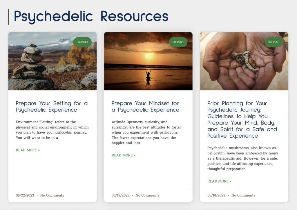 Snapshot of learn page of our website. Preview of psychedelic resources to help you prepare for your journey.